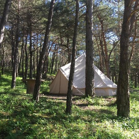 Camping La Chabannerie Hotel Saint-Martin-de-Clelles Exterior foto